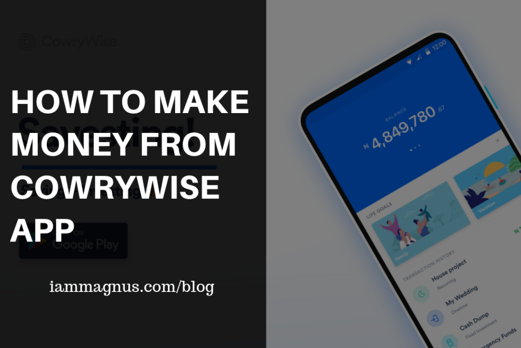 Cowry App How to Make Money From Cowrywise App | Magnus Okeke