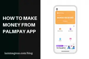 How to Make Money From PalmPay App