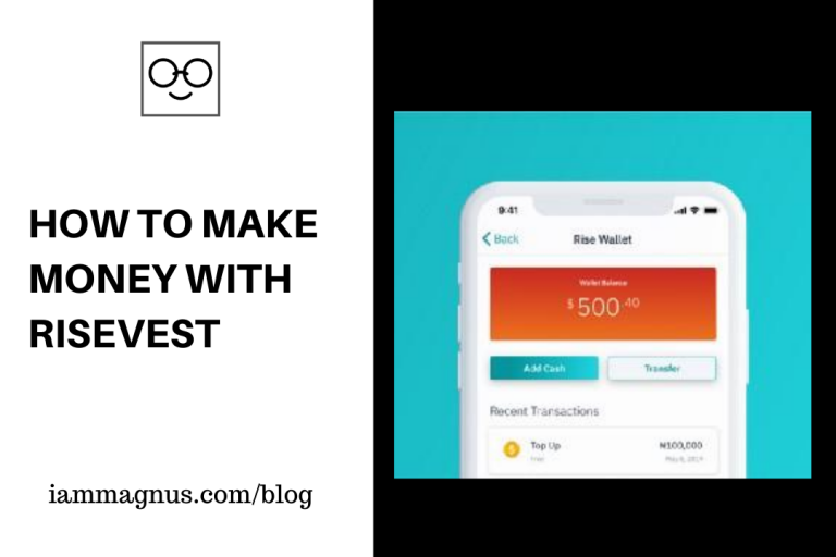 How to Make Money with Risevest